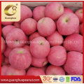 Wholesale Red FUJI Apple with High Sugar